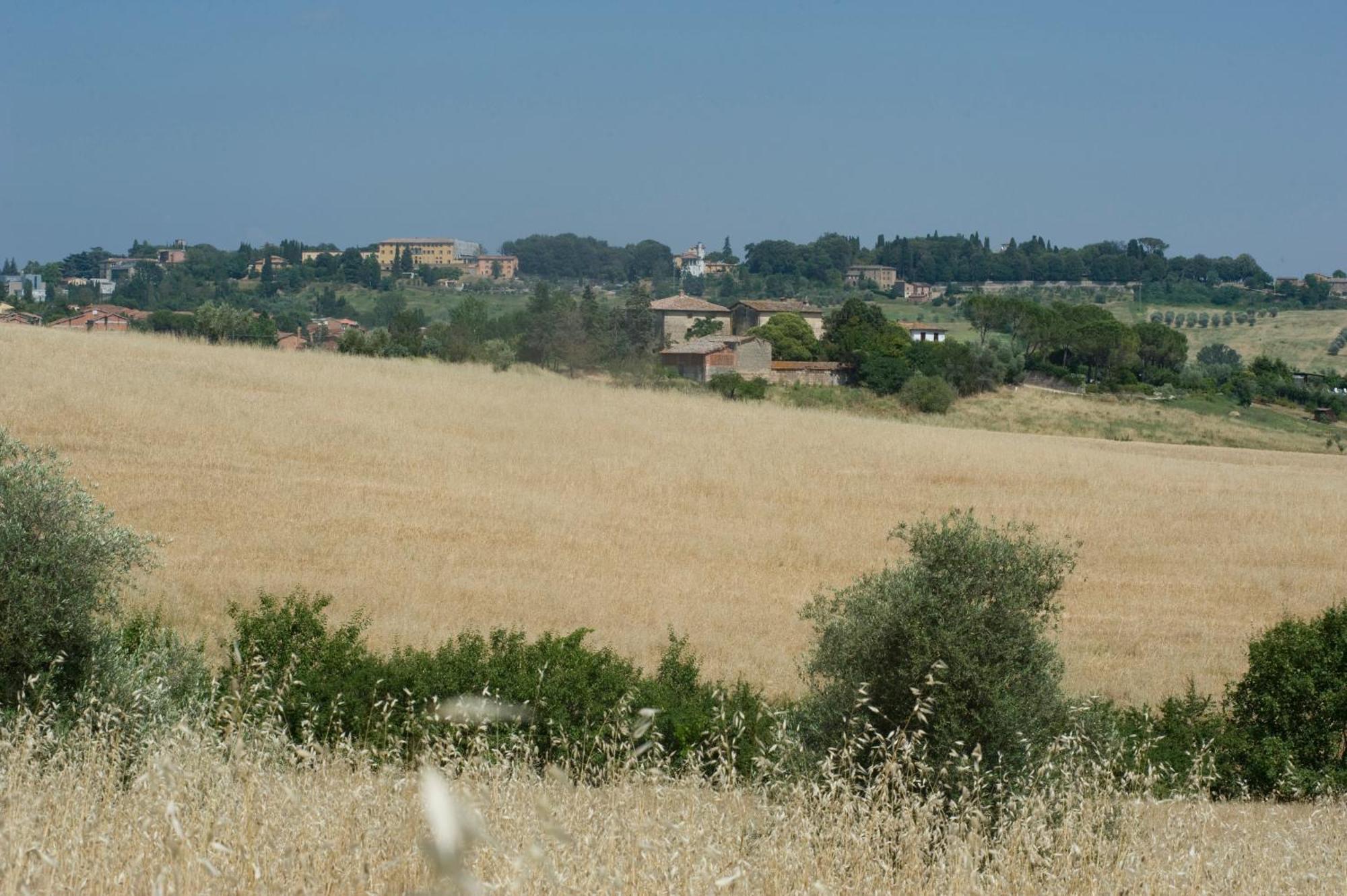 B&B Il Pettirosso Di Siena Exterior photo